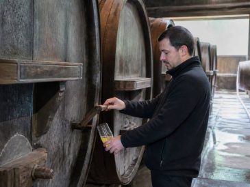 Cidrerie Kerné : histoire, cidres artisanaux et savoir-faire breton