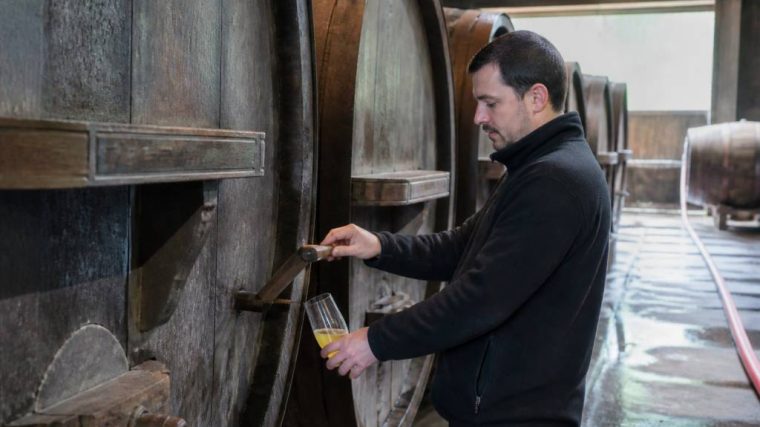 Cidrerie Kerné : histoire, cidres artisanaux et savoir-faire breton
