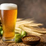 Kauri brewery : tout savoir sur cette brasserie artisanale néo-zélandaise