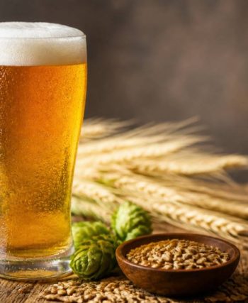 Bières lager : guide complet pour choisir et déguster