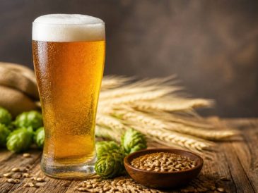 Bières lager : guide complet pour choisir et déguster
