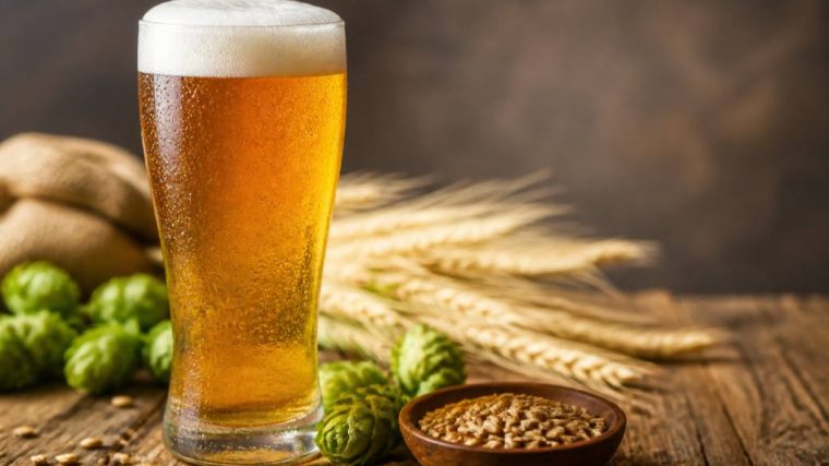 Bières lager : guide complet pour choisir et déguster