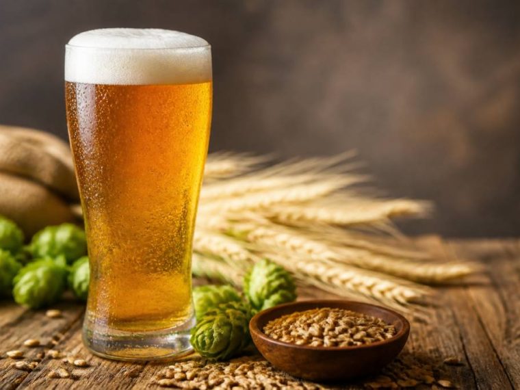 Bières lager : guide complet pour choisir et déguster