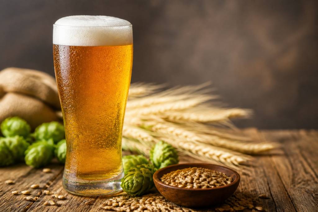 Bières lager : guide complet pour choisir et déguster