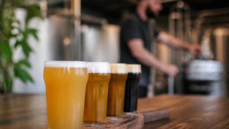 Kauri brewery : tout savoir sur cette brasserie artisanale néo-zélandaise