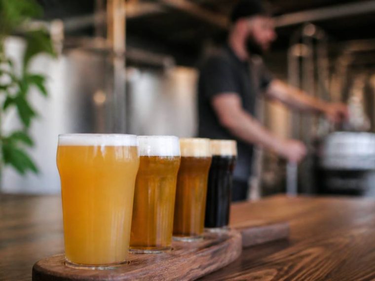 Kauri brewery : tout savoir sur cette brasserie artisanale néo-zélandaise