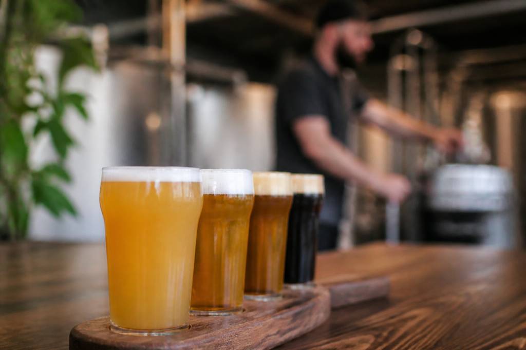 Kauri brewery : tout savoir sur cette brasserie artisanale néo-zélandaise