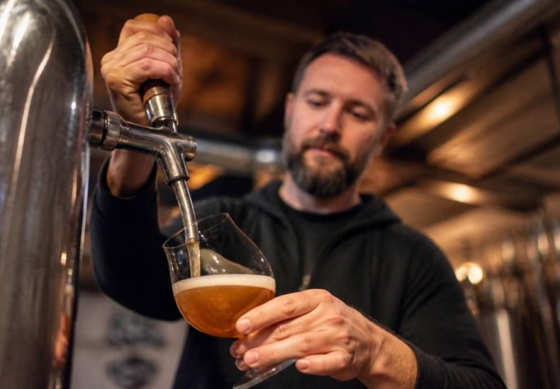 Brasserie du vieux singe : tout savoir sur cette brasserie artisanale française